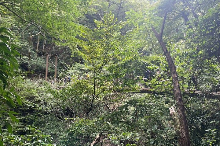 Mt. Takao Half‑Day Hike: Tengu Legends, Yakuo‑in & Summit Views photo 6