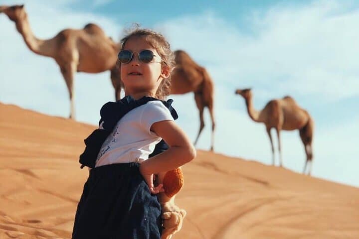 VIP Dubai Dune Safari with BBQ Dinner & Live Entertainment photo 2