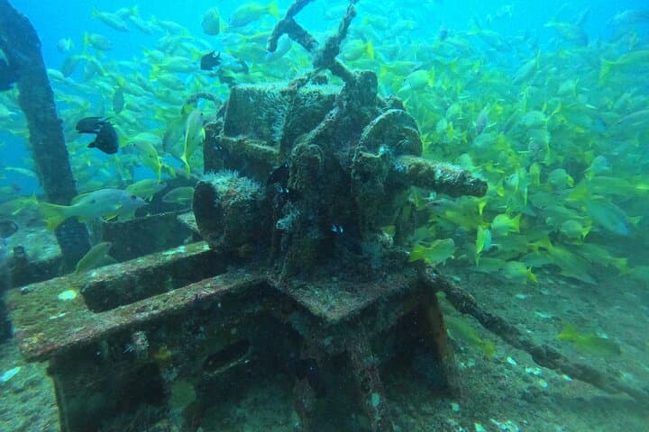 Double Dive Eden Island: Coral Reefs, Wreck and Guided Scuba in Seychelles photo 2