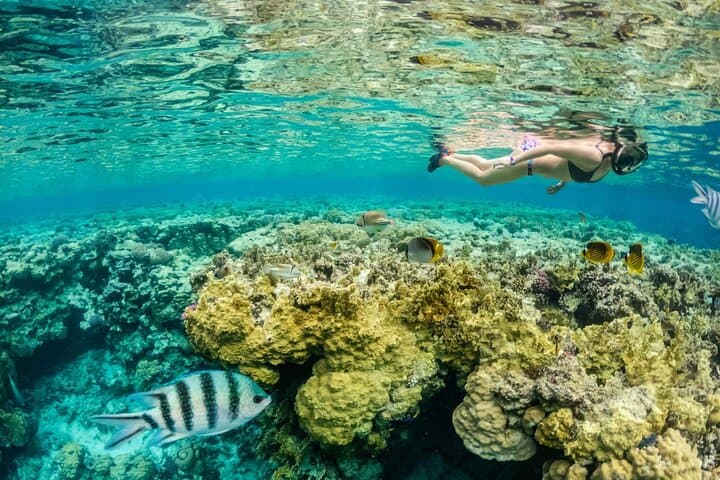 Phuket Coral Island Snorkeling Day Trip by Speedboat photo 5