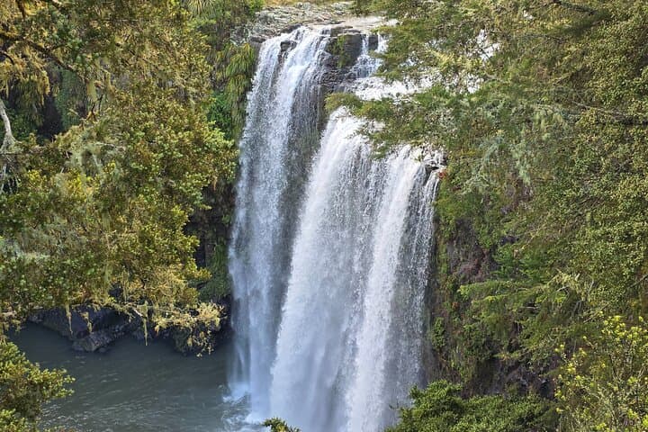 Two-Day Northland: Hole in the Rock Cruise, Waitangi Treaty Grounds & Waipu Glowworm Caves photo 5
