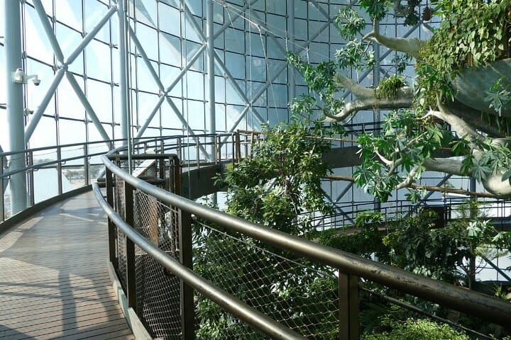 Explore The Green Planet Dubai: Indoor Rainforest Experience in City Walk photo 3