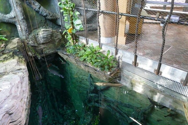 Explore The Green Planet Dubai: Indoor Rainforest Experience in City Walk photo 4