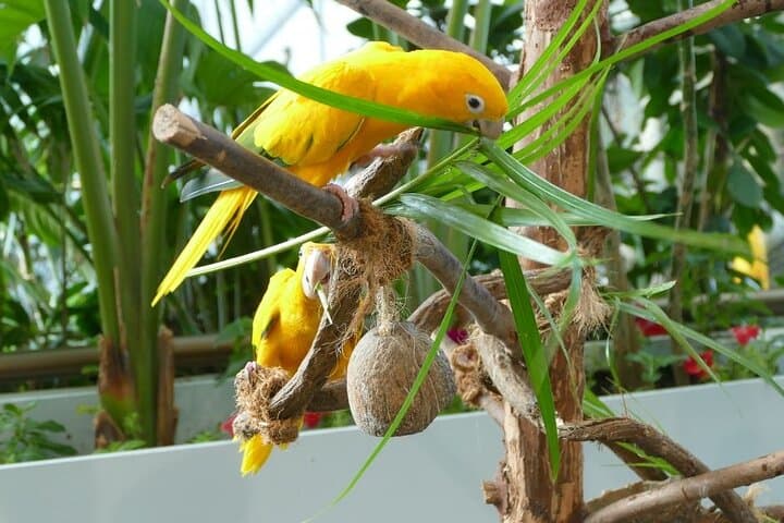 Explore The Green Planet Dubai: Indoor Rainforest Experience in City Walk photo 5