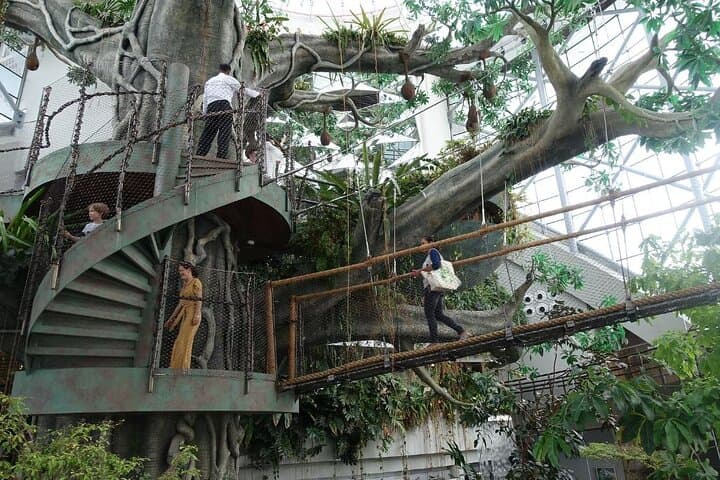 Explore The Green Planet Dubai: Indoor Rainforest Experience in City Walk photo 6