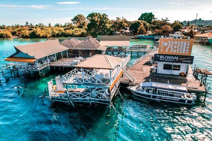 Semporna Night Dive at Buwan Reef — Macro Nightlife, Dinner & Boat Transfer photo 2