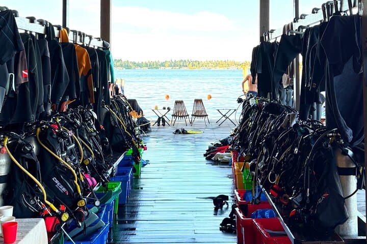 Semporna Night Dive at Buwan Reef — Macro Nightlife, Dinner & Boat Transfer photo 3