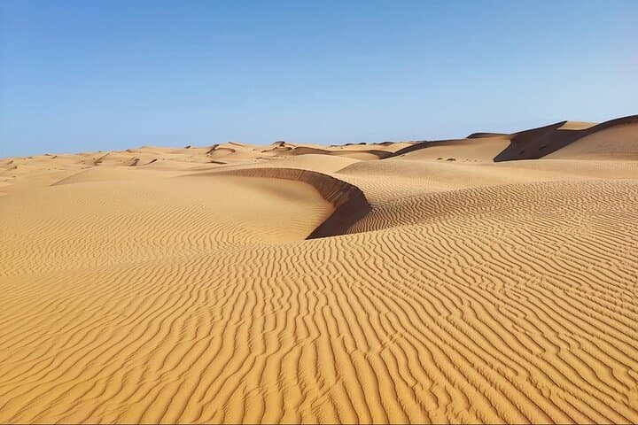 Empty Quarter Desert Safari & Thumrait Bedouin Visit — Sunset Dunes & Wadi Dawkah photo 4