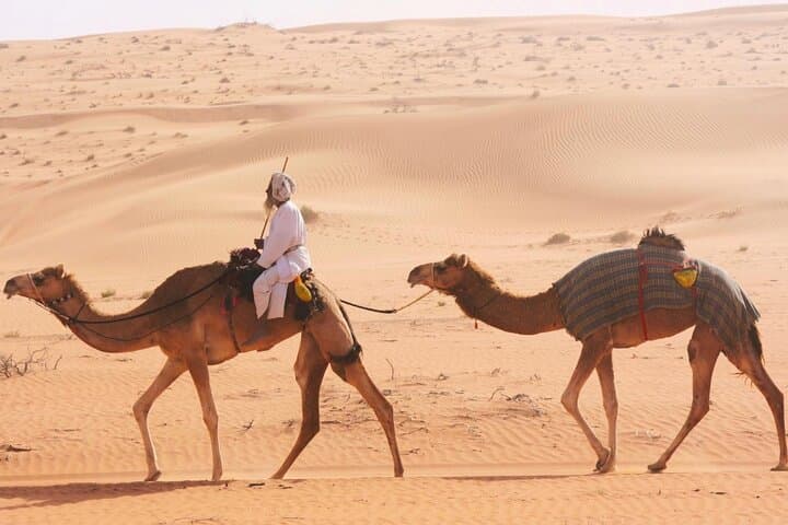 Empty Quarter Desert Safari & Thumrait Bedouin Visit — Sunset Dunes & Wadi Dawkah photo 5