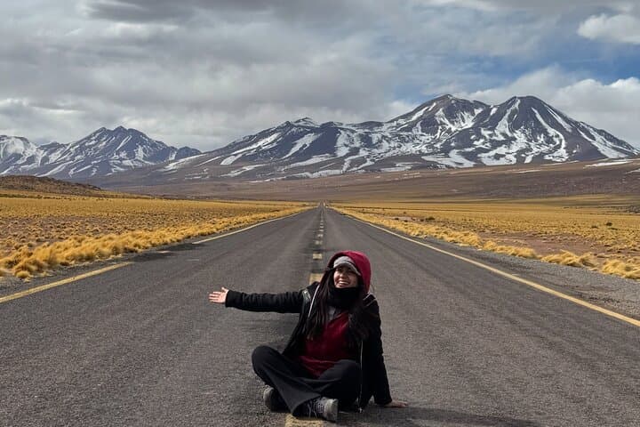 Atacama Desert Full-Day: Chaxa Lagoon, Piedras Rojas & Altiplanic Lagoons
