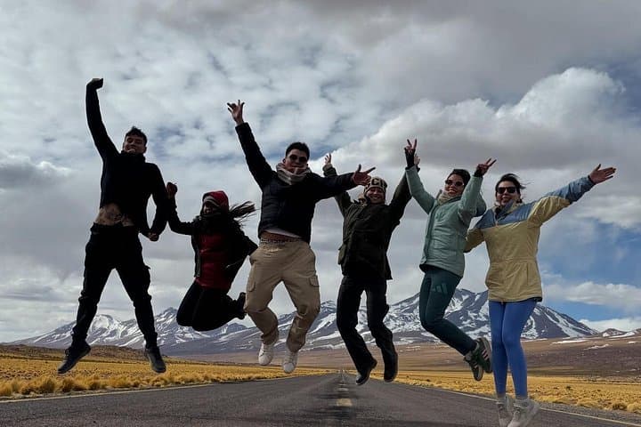Atacama Desert Full-Day: Chaxa Lagoon, Piedras Rojas & Altiplanic Lagoons photo 3