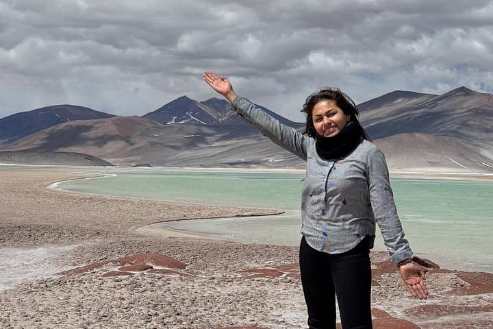 Atacama Desert Full-Day: Chaxa Lagoon, Piedras Rojas & Altiplanic Lagoons photo 6
