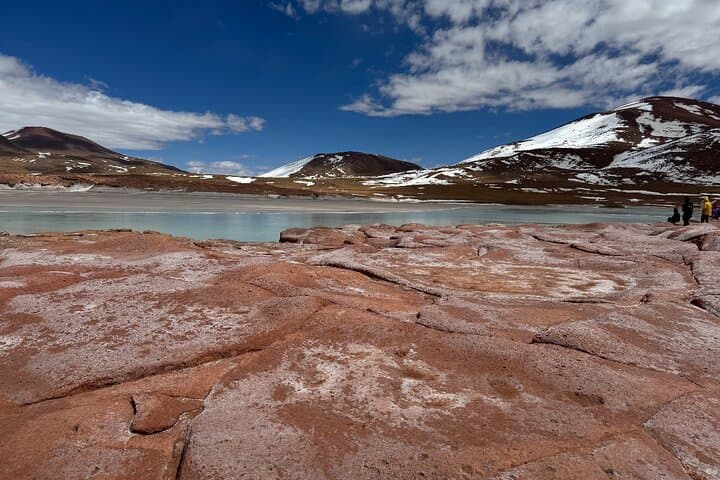 Atacama Desert Full-Day: Chaxa Lagoon, Piedras Rojas & Altiplanic Lagoons photo 2