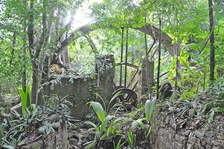 Balembouche Estate: Sugar Mill History and Twin Beaches Tour in St. Lucia photo 6