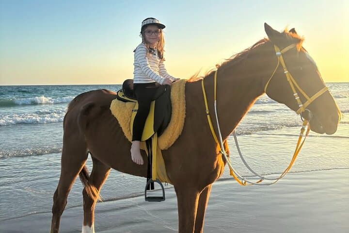 Salalah Coast Camel and Horse Ride: Sunset Beach Trails and Frankincense Hills photo 1
