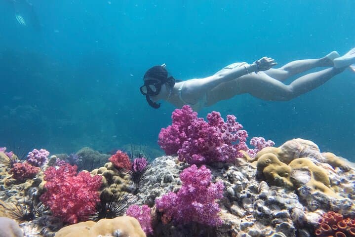 Koh Lipe Longtail Snorkel: Jabang Channel, Hin Ngam & Free Underwater Photos photo 1
