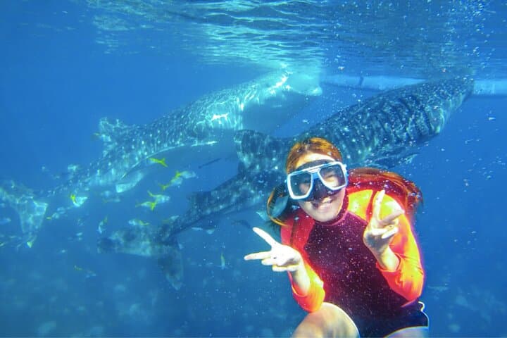 Oslob Whale Sharks, Tumalog Falls and Moalboal Sardine Run Day Trip photo 4