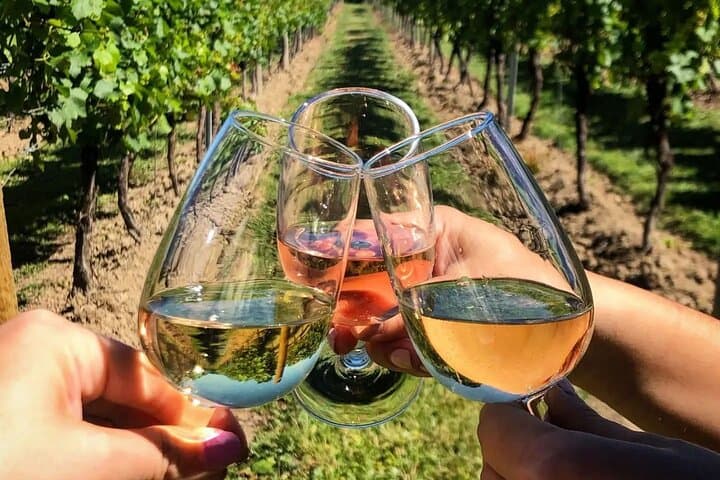Stellenbosch Wine & Wildlife: Full-Day Tasting Tour from Cape Town photo 2
