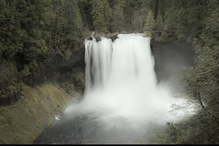McKenzie River Waterfalls Tour from Eugene: Sahalie & Koosah in a Tesla photo 6