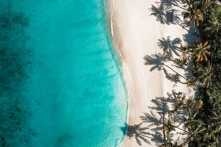 Saona Island Hidden Beach Excursion from Bayahibe: Natural Pool & White Sands photo 5