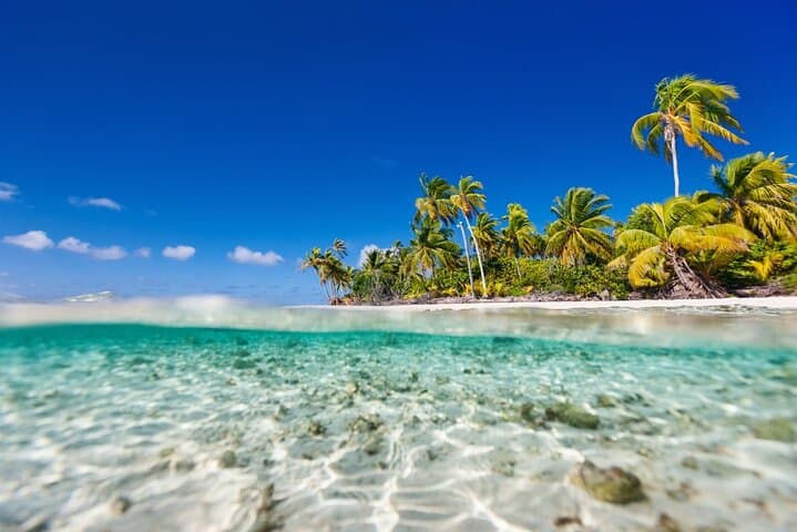 Saona Island Hidden Beach Excursion from Bayahibe: Natural Pool & White Sands