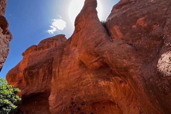 Monkey Fingers Canyon Hike — 2–3 Hour Trail in Morocco's Dadès Valley photo 5