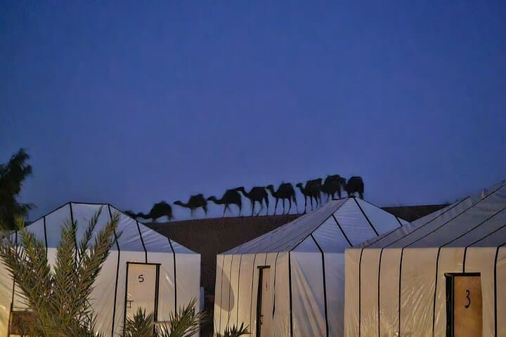 5-Day Casablanca to Marrakech via Merzouga: Sahara Dunes, Atlas Passes & Ait Ben Haddou photo 4