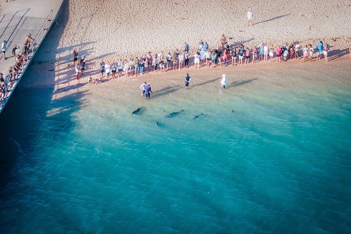 Explore Western Australia’s Coastline: An 8-Day Journey from Perth to Ningaloo Reef photo 3