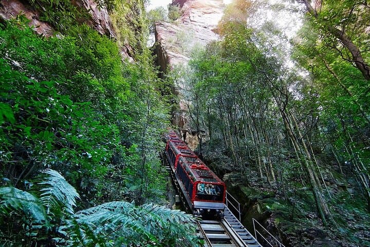 Private Sydney Luxury Tour: Blue Mountains, Scenic World & Featherdale Wildlife photo 2