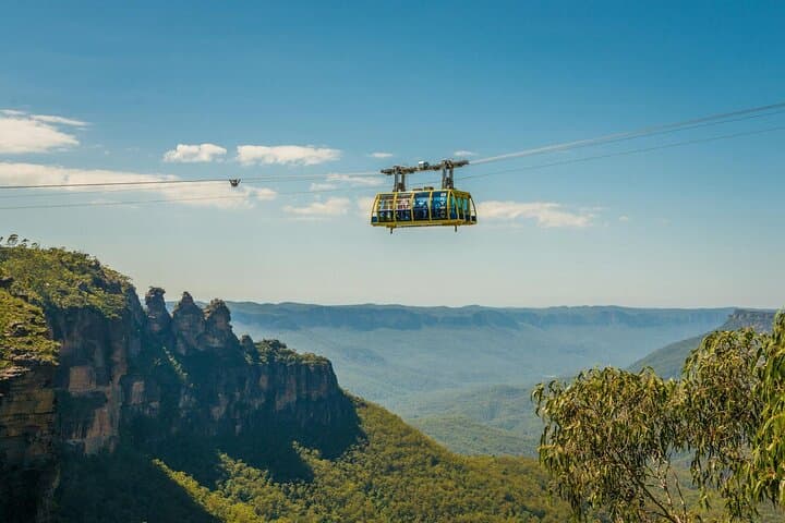 Private Sydney Luxury Tour: Blue Mountains, Scenic World & Featherdale Wildlife photo 3