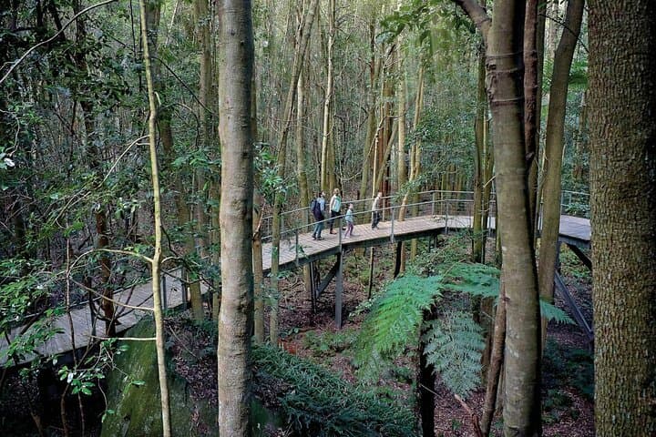 Private Sydney Luxury Tour: Blue Mountains, Scenic World & Featherdale Wildlife photo 5