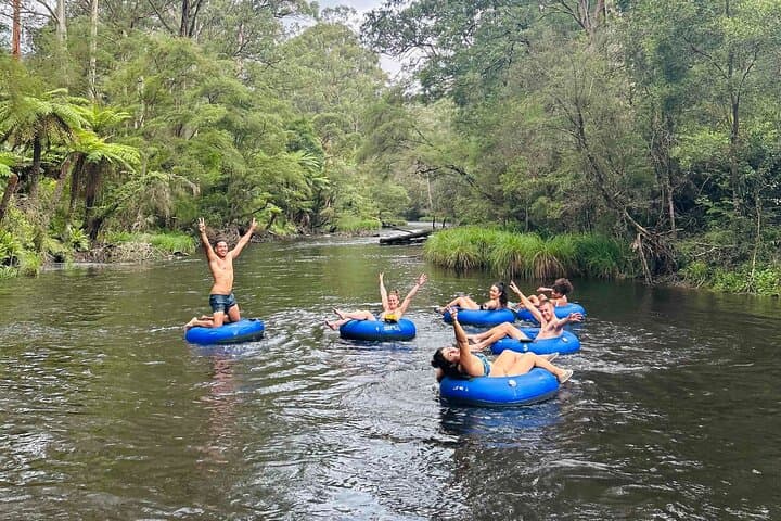 Yarra River Tubing from Warburton — 3 km Self-Guided Upper Yarra Float