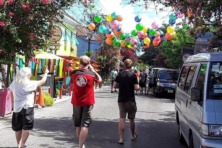 Private VIP Nassau Cultural & Beach Tour — Museums, Forts & Local Flavors photo 3