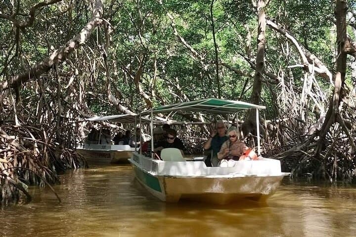 Celestún Flamingo Adventure from Mérida — Mangrove Boat Tour & Beach Lunch photo 4