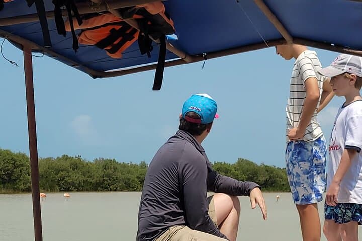 Celestún Flamingo Adventure from Mérida — Mangrove Boat Tour & Beach Lunch photo 1