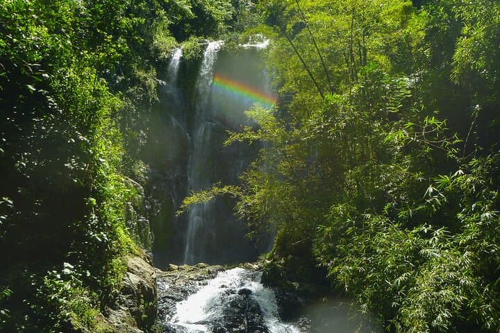 Charco Prieto Jungle and Waterfall Adventure from San Juan