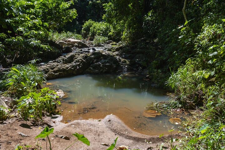 Charco Prieto Jungle and Waterfall Adventure from San Juan photo 5