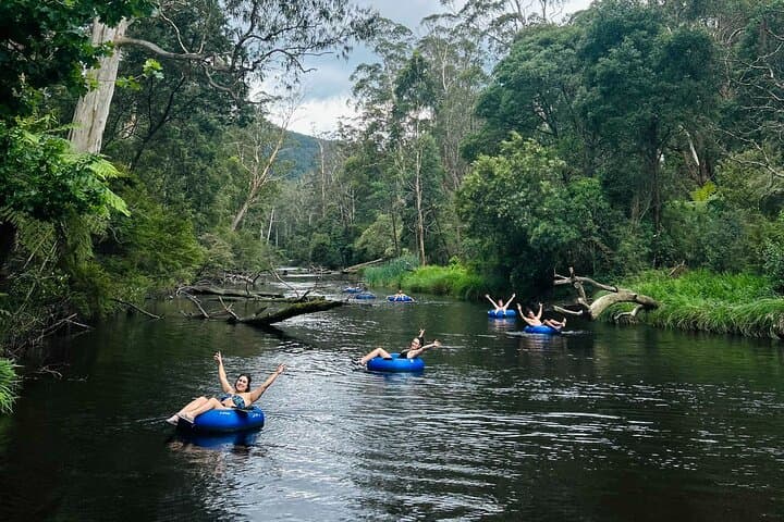 Yarra River Tubing from Warburton — 3 km Self-Guided Upper Yarra Float photo 3