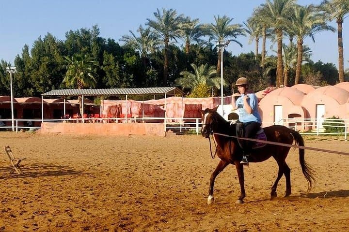 Abusir Horseback Riding to the Fifth Dynasty Pyramids — Desert Tour from Cairo