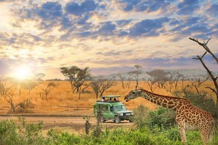 2-Day Tarangire & Ngorongoro Crater Big Five Safari from Arusha photo 3