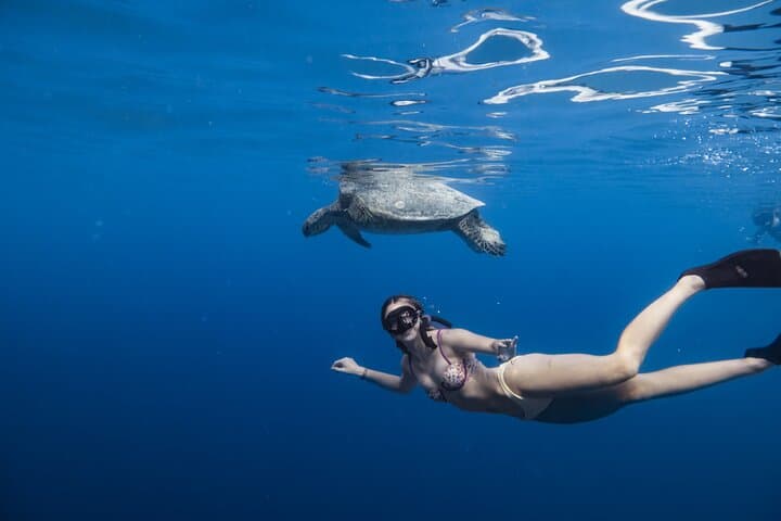 Snorkel with Turtles at Turtle Canyon — Semi-Private Waikiki Tour photo 4