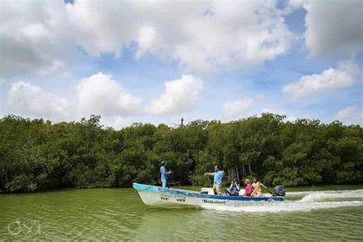Explore Can Gio Mangrove Biosphere Reserve: Full-Day Tour from Ho Chi Minh City photo 4