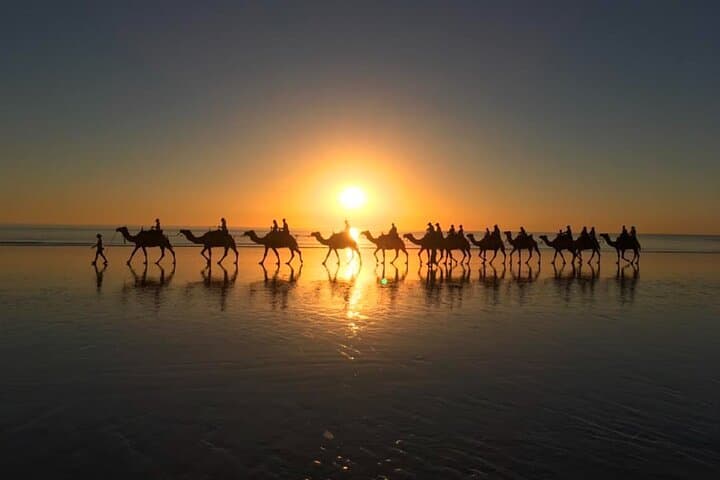 Sunset Camel Ride on Achakkar Beach — Tangier Coastal Experience photo 4