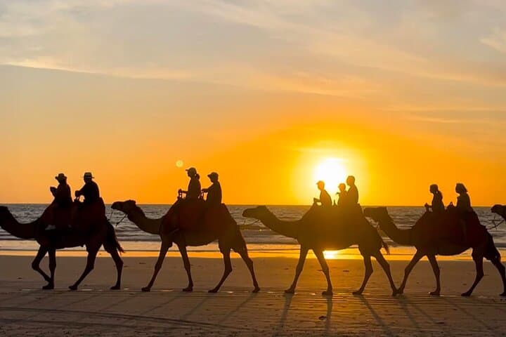 Sunset Camel Ride on Achakkar Beach — Tangier Coastal Experience photo 6