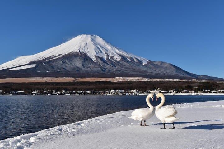 Private Mount Fuji Day Tour from Tokyo — Chureito Pagoda, Kawaguchi & Oshino Hakkai photo 6