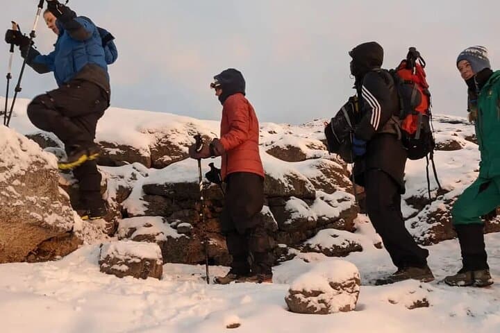 Conquer Kilimanjaro on the 5-Day Marangu Route: Hut-to-Hut Summit Guide photo 6