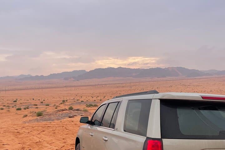 Full-Day Elim Oasis & Split Rock Tour from Tabuk — Biblical Sites & Desert Landscapes photo 4