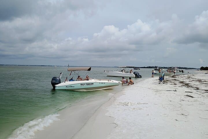 Explore Clearwater’s Coastal Wonders: A Private 6-Hour Island Cruise Adventure photo 2