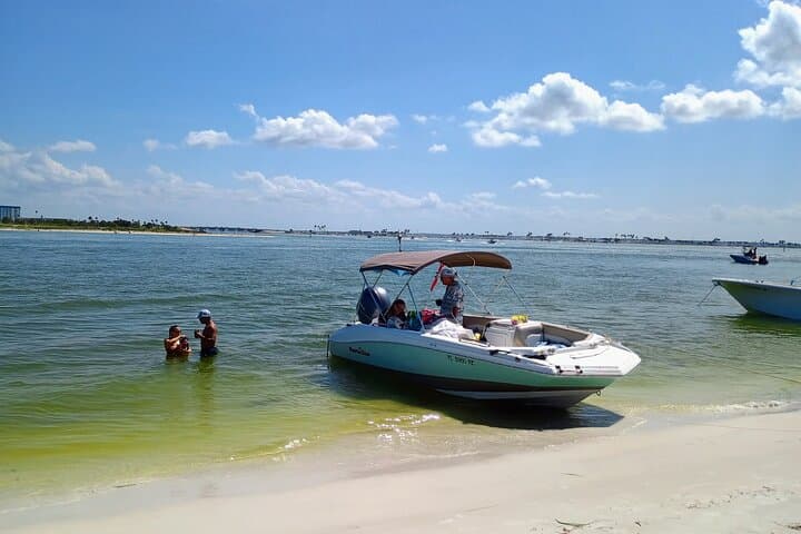 Explore Clearwater’s Coastal Wonders: A Private 6-Hour Island Cruise Adventure photo 5