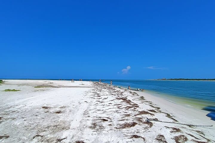 Explore Clearwater’s Coastal Wonders: A Private 6-Hour Island Cruise Adventure photo 6